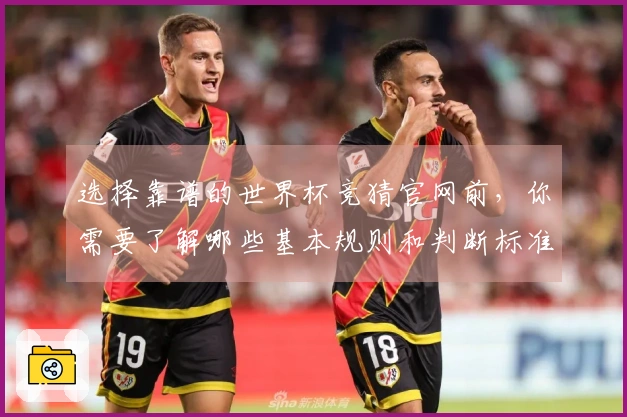 选择靠谱的世界杯竞猜官网前，你需要了解哪些基本规则和判断标准